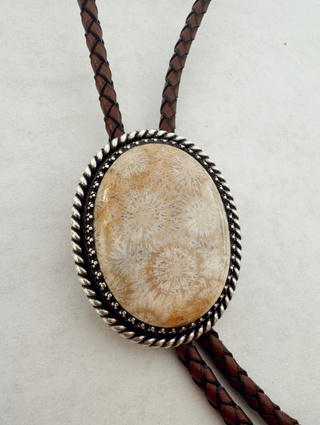 Fossilized Coral Bolo